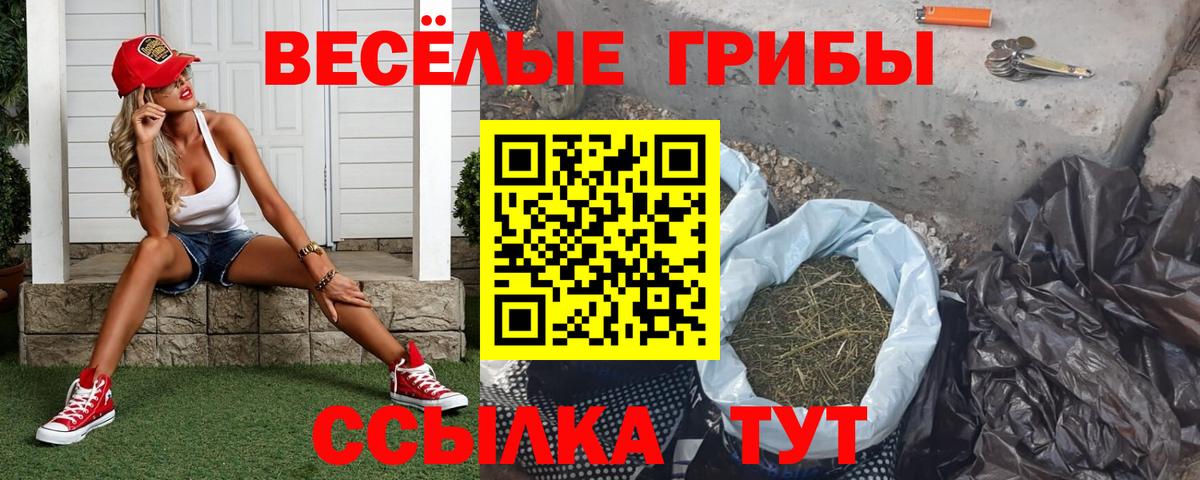Псилоцибиновые грибы Cubensis Полысаево