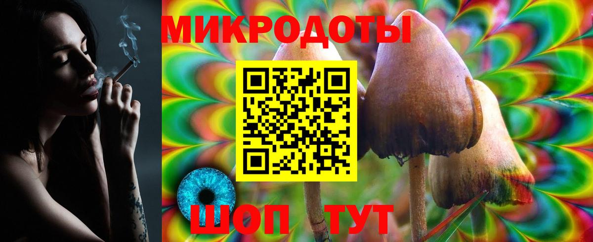 Полысаево  Псилоцибиновые грибы Cubensis  Вход с VPN 